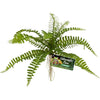 NATURALISTIC FLORA SWORD FERN (GREEN)