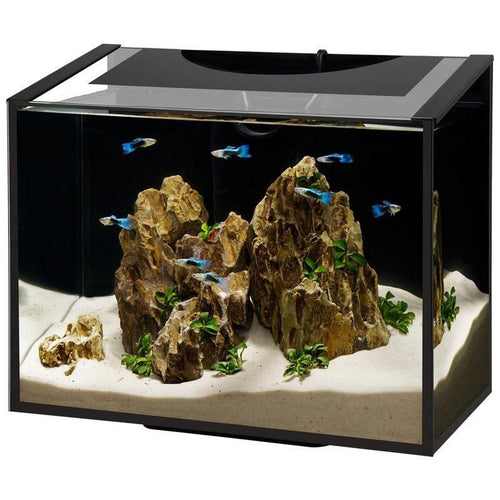 AQUEON ASCENT FRAMELESS LED AQUARIUM KIT (10 GAL-18X10X15 IN)