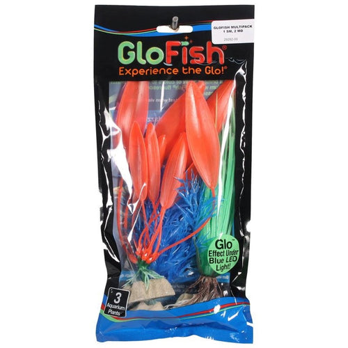 GLOFISH PLANT (3 PACK SM/MD/LG)