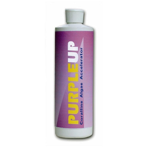 CARIBSEA PURPLEUP CORALLINE ALGAE ACCELERATOR (16 OZ)